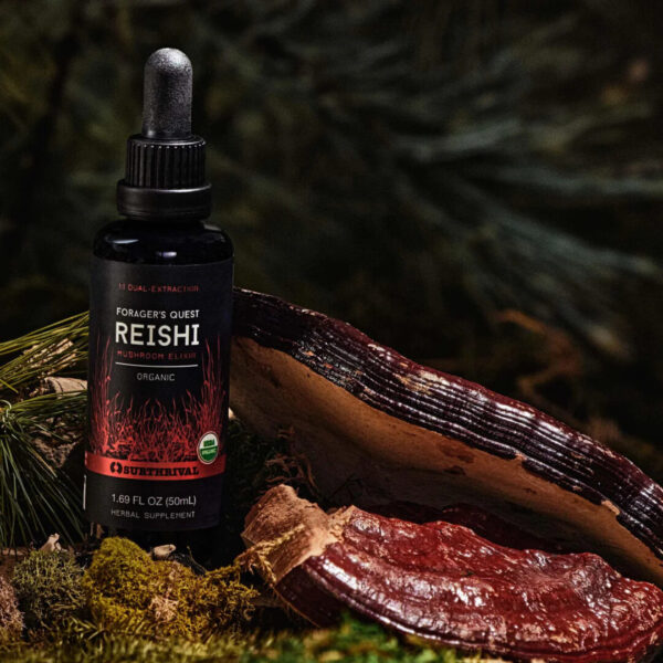 Surthrival Reishi Extract - Forager's Quest with mushroom
