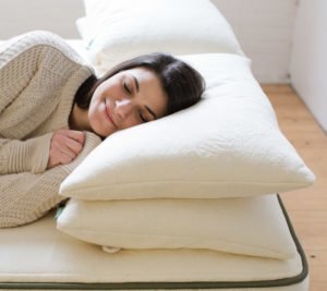 Non Toxic Organic Eco Friendly Pillows