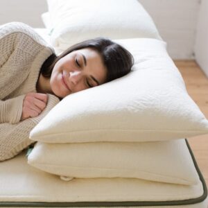 Non Toxic Organic Eco Friendly Pillows