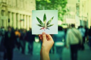 hemp can change the world