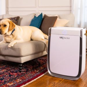 AirDoctor home ultrahepa and voc filter in living room with labrador