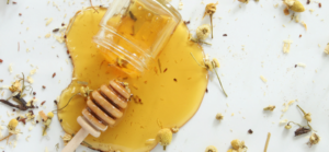 Raw Forest Honey