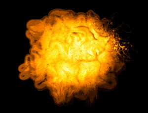 Golden branching Bacillus subtilis bacterial growth against a black background, photographed by confocal microscopy.