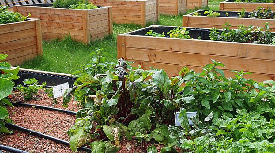 Garden Benefits