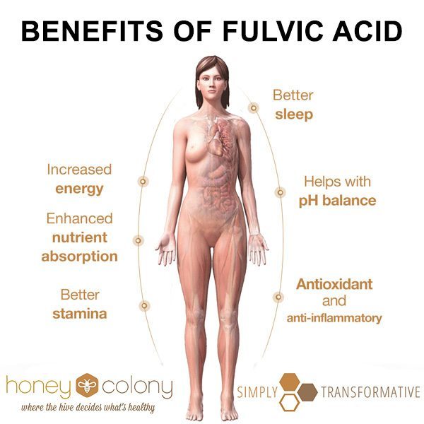fulvic acid supplement