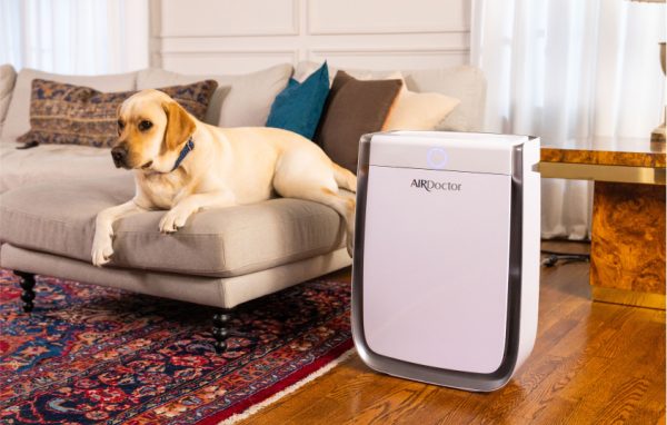 AirDoctor home ultrahepa and voc filter in living room with labrador